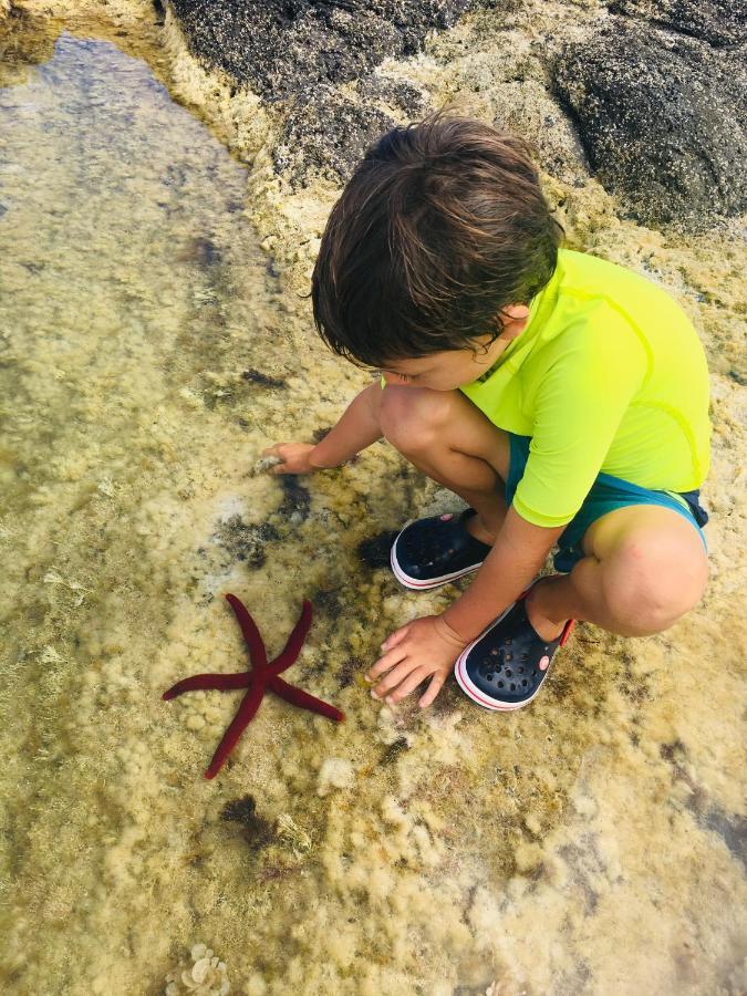 Chalet Sea Roots 